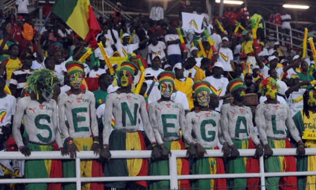 Senegal - Les Lions de la Teranga - Misafirperver Aslanlar
