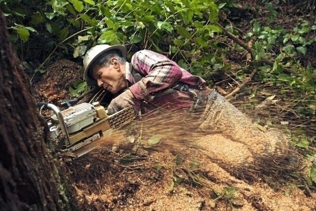 9- Ağaç Kesme İşçisi   - 2022 Yılında Düşüş Oranı: Yüzde 9  -