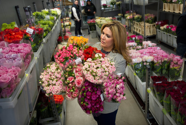 8- Çiçekçi  -   - 2022 Yılında Düşüş Oranı: Yüzde 8  -