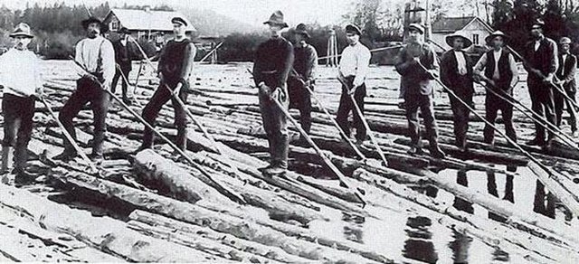 Tomruk sürücüleri tomrukları o günün şartları gereği nehri kullanarak taşımak durumundaydı ve istenen noktaya bu şekilde tomruklar taşınabiliyordu.
