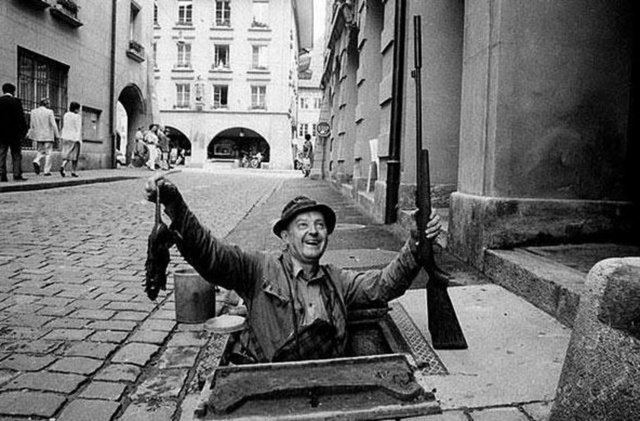 Bir zamanlar Avrupa'nın en büyük kabuslarından biri olan ve pek çok hastalığa davetiye çıkaran farelere karşı fare avcıları görev yapardı.