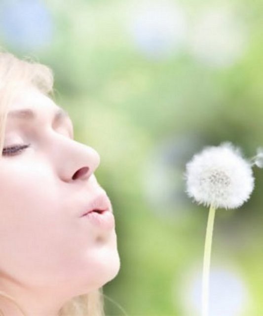 Polen toplayıcısı -