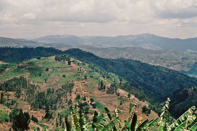 Ruanda yüzde 30