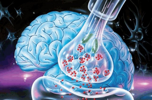 Biraz üreticiliğinizi kullanın ve daha neleri tersten yapabileceğinizi bulun. Tabii bulduklarınızı da hemen deneyin. Sonuç olarak, rutin alışkanlıklarınızı kırar ve beyninizin kullanmadığınız diğer yarısını da harekete geçirmiş olursunuz. -