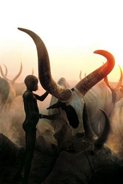 Dinkalar Güney Sudan'da iç savaştan bu yana dünya ile ilişiğini kesmiş durumda kabile arazisinde yaşamaktadır.