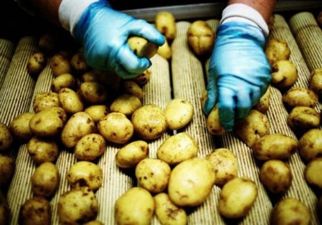 El ve ayak çatlaklarında faydalıdır.