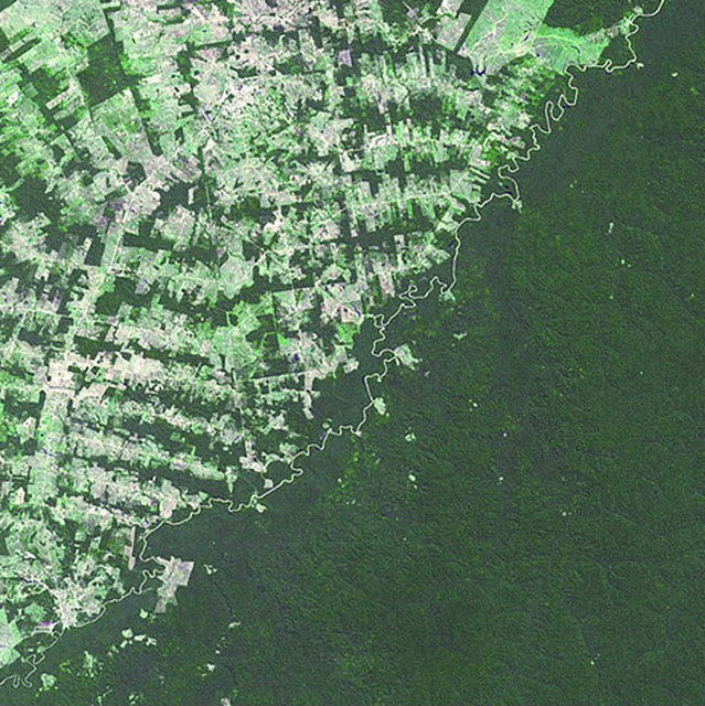 10. Brezilya - BolivyaBrezilya açık yeşil, Bolivya koyu yeşil. Doğal bir nehirle ayrılmışlar ama ormancılık kanunları iki ülke arasındaki farkı belirliyor.