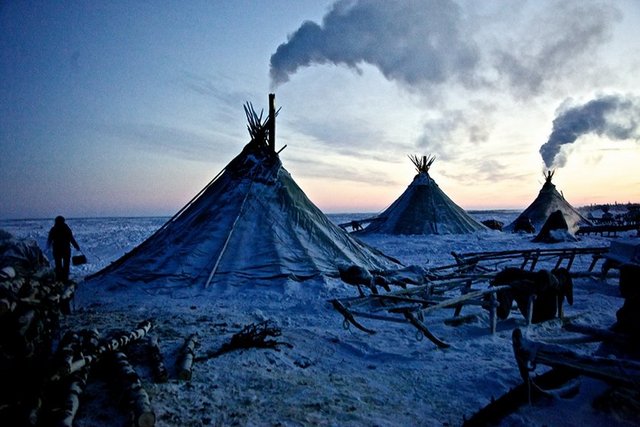 Nenetler Rusya'nın az rastlanır bir güzelliğe sahip Yamal Yarımadası'nda yaşarlar.