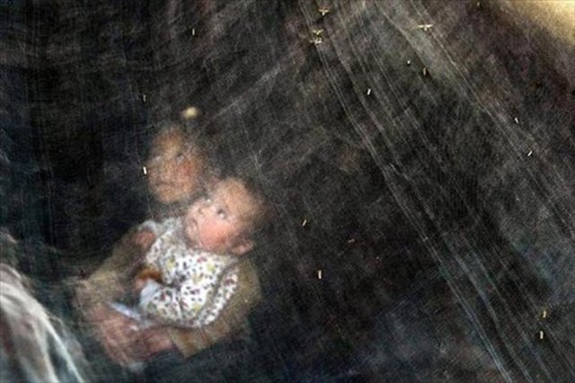 Nenetli gelin adayları için de Türkiye'dekine benzer bir başlık parası uygulaması var. Gelinlerin bedelleri ise ren geyiği cinsinden hesaplanıyor.
