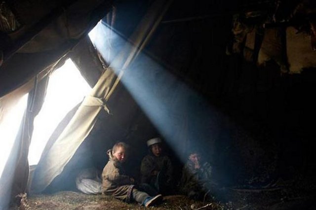 Her ailenin kendi çadırı ve sürüsü var. Sürüleri 50 ila 7 bin ren geyiği arasında değişiyor.  -