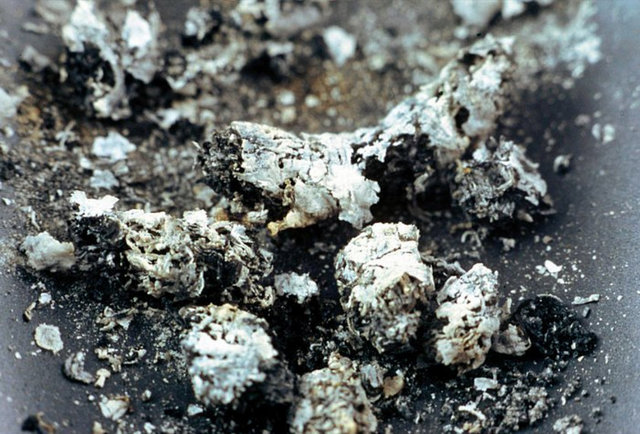 Saksıdaki çiçekleriniz oluşan böcekler sebebiyle kuruyorsa, sigara küllerinizi bitki köküne dökün. Kül, böcekleri zehirleyerek öldürecektir.