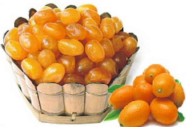 Kalsiyum içeriği yüksek olan kamkat, kemik ve diş sağlığı içinde önemli bir meyvedir.