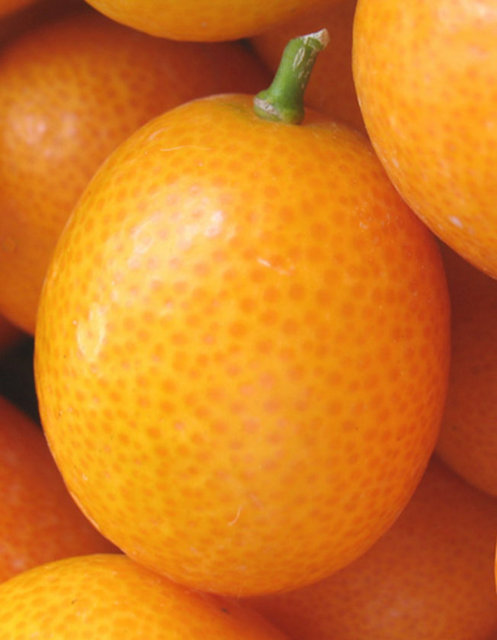 Kabuğu ile birlikte tüketilmesi enfeksiyonlara karşı vücudunuzun güçsüz kalmanızı engeller ve hasta olmanızı engeller.