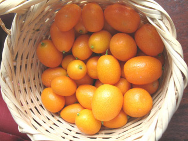 Bu vitaminlerin yüksek olması sinir sisteminizin düzenli çalışmasına katkısı vardır.