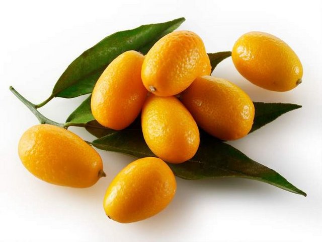 Kabuğu ile birlikte salatalarınıza doğraya da bilirsiniz." Diye konuştu.