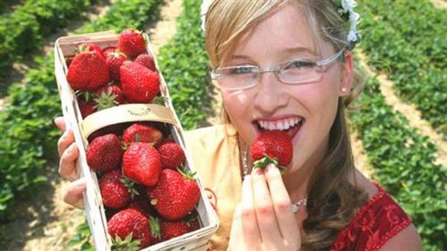 Çok iyi bir antioksidan olması sebebiyle bağışıklık sistemini güçlendirir.  -