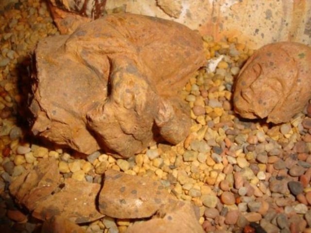 - Gaussman'ın bölgedeki piramitleri görmesinin ardından Alman araştırmacı yazar Hartwig HausDorf'un bölgeye gittiğini ve piramitler hakkında birçok materyal topladığı biliniyor.