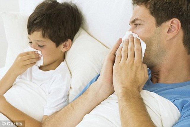 Aynı grip virüsünün bir insanı ikinci kez hasta etmeyeceğini vurgulayan WSJ, farklı bir grip virüsünün ilk virüsle zayıflayan - bünyeye girmesiyle iyileşmeden yeniden soğuk algınlığına yakalanmanın yatakta kalma süresini uzattığına dikkat çekti.