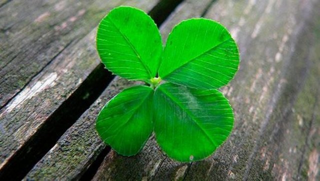 Selak artık 'şansı' -ya da kimilerine göre şanssızlığı- konusunda dünya çapında üne sahipti.