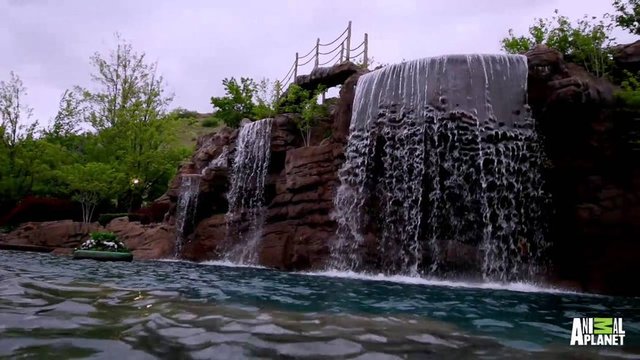 Bu 2 milyon dolarlık etkileyici havuzda dalış yapmak da mümkün ve hatta o kadar derin ki dalış sertifikanızın olması gerekiyor.