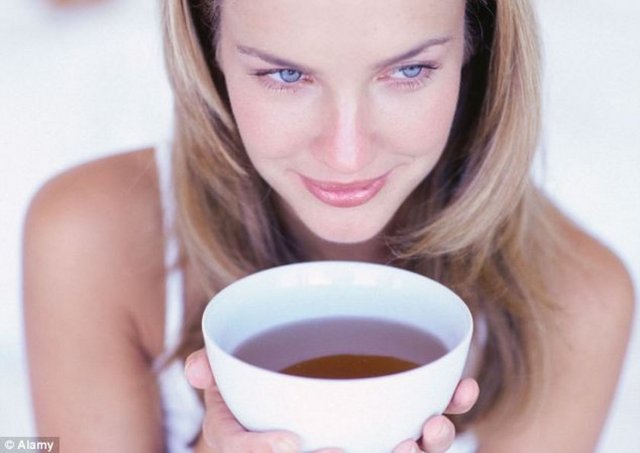 Zayıflamaya etkisi büyük - Mate bitkisinin içeriğinde kafein, teobromin, kafeik asit türevleri ve flavanoitler başta olmak üzere saponinler ve nitrit glikozitleri de bulunur.