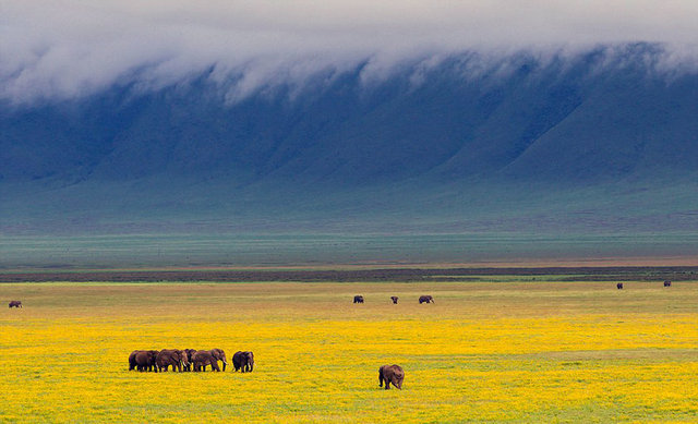 7. Ngorongoro Krateri, Tanzania