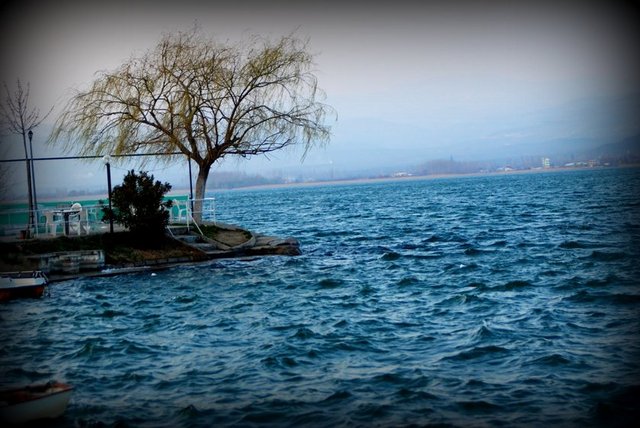 İznik - Gökyüzünün durumuna göre şekillenen göl kenarında vakit geçirin.