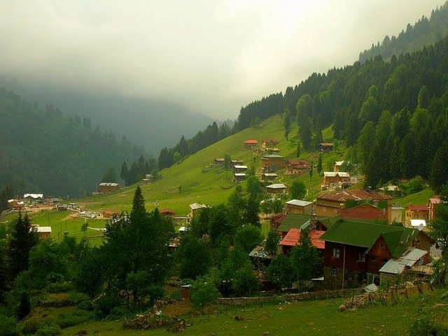 Doğu Karadeniz turu - Trabzon Sürmene, Of, Rize, Pazar, Arhavi, Hopa üzerinden Sarp sınır kapısı sonrası Çamlıhemşin üzerinden Ayder Yaylası (1350 km), Gelinüstü Şelalesi Tarihi Kemer köprüleri, Aşağı Kavron, Yukarı Kavron gezileri yapabilirsiniz.