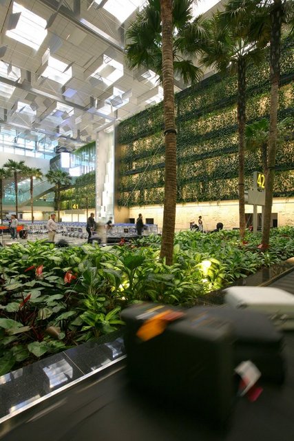 (1- Singapur Changi Havalimanı) -  - Kelebek bahçesi ve japon balığı havuzuyla tanınan Singapur Changi, son derece konforlu ve temiz bir havalimanı. 106 havayolunun 250 şehre uçuş düzenlediği bu havalimanı, yılda 53 milyonun üzerinde yolcu ağırlıyor.