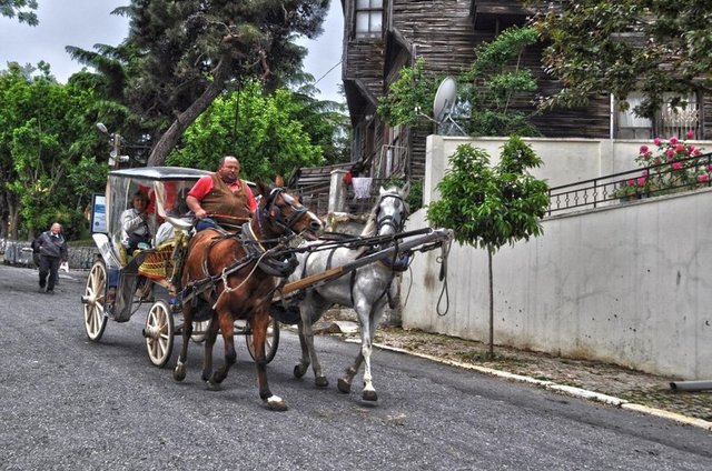 Çınar Tepesi, Teşvikiye Tepesi ve Manastır Tepesi olmak üzere üç tepesi vardır.