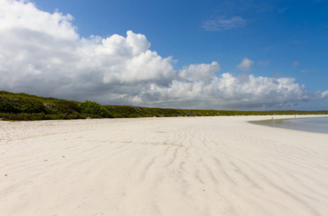 8. Galapagos Adaları