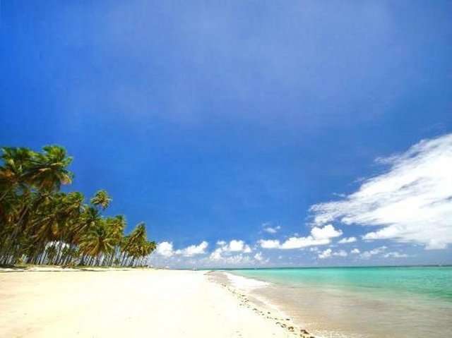 12. Praia Dos Carneiros - Tamandare, Brezilya