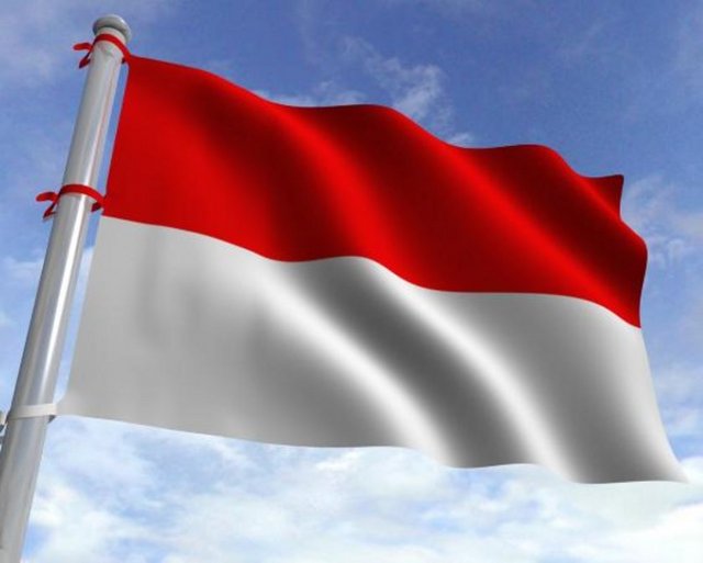 Ülke: 51. Endonezya  - Normal benzin bir galon fiyatı: 3.62 dolar - Bir galon = 3.78 litre	 - Kişi başı günlük geliri: 10.46 dolar	 - Benzin günlük kişi başına tüketim: 0.08 	 - Benzin harcanan gelirin yüzdesi: 2.67  -  -