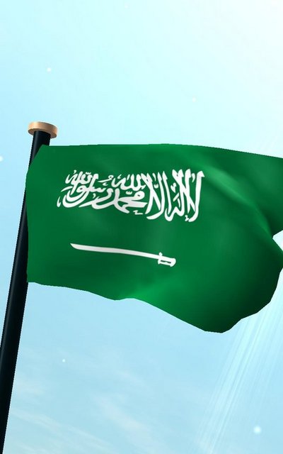 Ülke: 60. Suudi Arabistan  - Normal benzin bir galon fiyatı: 0.45 dolar - Bir galon = 3.78 litre	 - Kişi başı günlük geliri: 68.94 dolar - Benzin günlük kişi başına tüketim: 0.64 	 - Benzin harcanan gelirin yüzdesi: 0.42  -