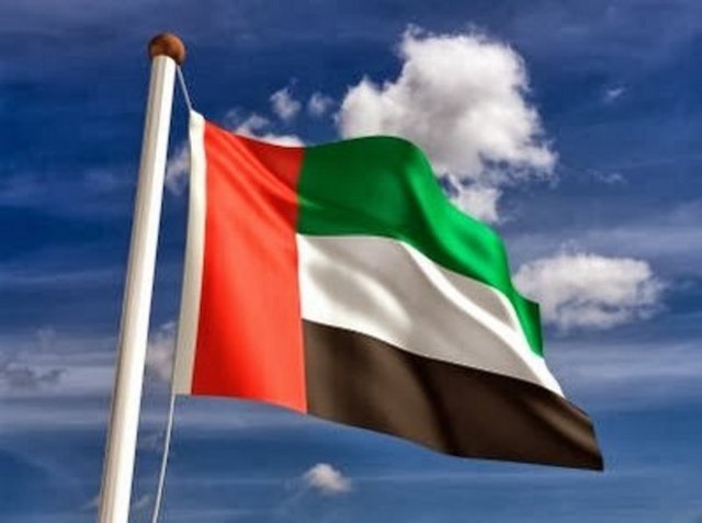 Ülke: 57. Birleşik Arap Emirlikleri - Normal benzin bir galon fiyatı: 1.77 dolar - Bir galon = 3.78 litre	 - Kişi başı günlük geliri: 177.48 dolar	 - Benzin günlük kişi başına tüketim: 0.46 	 - Benzin harcanan gelirin yüzdesi: 0.46  -