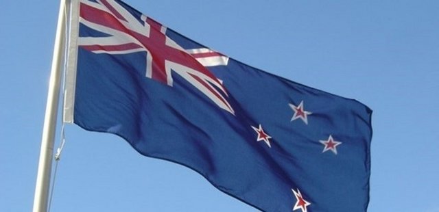 Ülke: 28. Yeni Zelanda  - Normal benzin bir galon fiyatı: 6.50 dolar - Bir galon = 3.78 litre	 - Kişi başı günlük geliri: 112.01 dolar		 - Benzin günlük kişi başına tüketim: 0.51 	 - Benzin harcanan gelirin yüzdesi: 2.96  -