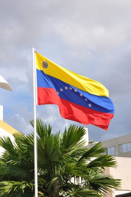 Ülke: 61. Venezuela  - Normal benzin bir galon fiyatı: 0.04 dolar - Bir galon = 3.78 litre	 - Kişi başı günlük geliri: 31.58 dolar - Benzin günlük kişi başına tüketim: 0.40 	 - Benzin harcanan gelirin yüzdesi: 0,05