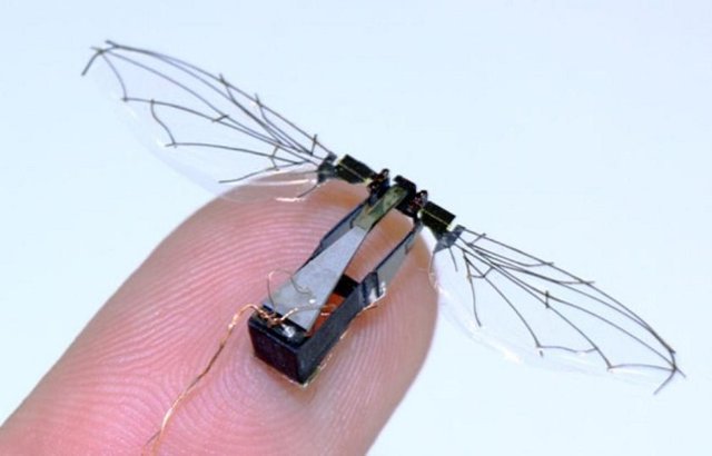 RoboBee "Harvard Robotics Laboratory"nin ürettiği, 80 miligram ağırlığa ve 3 cm kanat genişliğine sahip olan bu robot askeri, çevresel izleme, arama ve kurtarma operasyonlarında kullanılabilir.