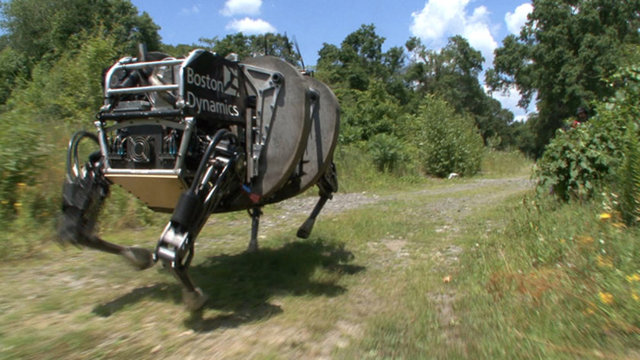 "Wildcat" diğer 4 ayaklı robotların aksine kendi güç kaynağını üstünde taşır ve stabilizatör kullanmadan muhteşem bir şekilde dengesini sağlayabilmektedir.