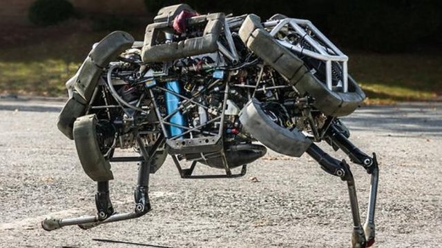 "Boston Dynamics"in ABD ordusu için tasarladığı bu robot saatte 45,5 km hızla koşabilmektedir. (Bu hız Dünya'nın en hızlı insanı Usain Bolt'un en hızlı hızından daha hızlıdır.)