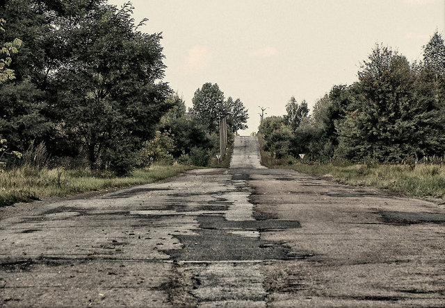 Sabah gazetesinin haberine göre son araştırmalar nükleer felaket bölgede ağaçların çürüyemediğini ortaya çıkardı.