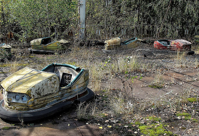 Ayrıca, nükleer kazadan sonra radyasyonun yayıldığı bölgeler ile diğer bölgeler karşılaştırıldığında, radyasyonlu bölgede kuşların daha küçük beyine sahip olduğu, ağaçların çok daha yavaş geliştiği, örümcek ve sineklerin de çok daha az bulunduğu belirti