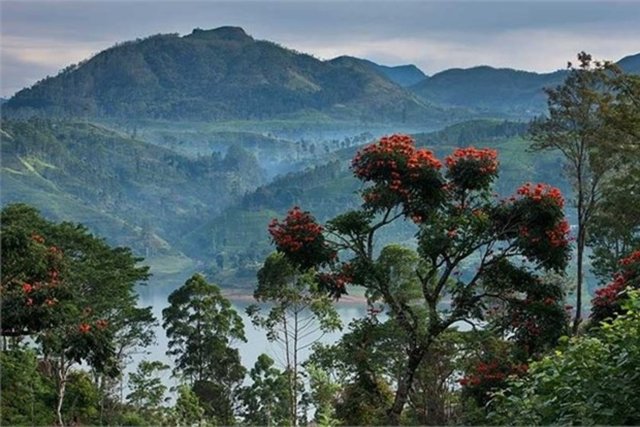 - Sri Lanka - Güney Asya