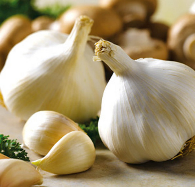 Sarımsak: İçinde bulunan besin öğelerinden dolayı damar içinde pıhtılaşmayı engelleyerek koroner kalp hastalıklarının oluşma riskini azaltır. Her gün 1 diş sarımsak yenilebilir.