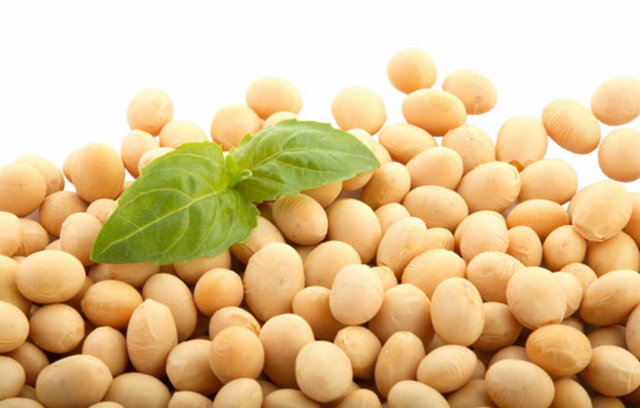 Soya: Yüksek protein içeriğinin yanı sıra içerdiği B1, demir, çinko, fosfor, magnezyum sayesinde kalp hastalıklarının engellenmesinde etkilidir.