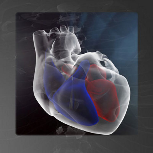 Kalbin çalışmasını sağlar ve kardiyokasküler sistemi sağlıklı tutar. Kısacası kalp ve damar sağlığını koruyan önemli egzersiz hareketleri arasında bisiklet sürmeyi de sayabiliriz.