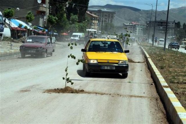 Yüksekova Şoförler ve Otomobilciler odası üyeleri, ilçedeki bozuk yollara dikkat çekmek amacıyla caddedeki çukurlara fidan dikti