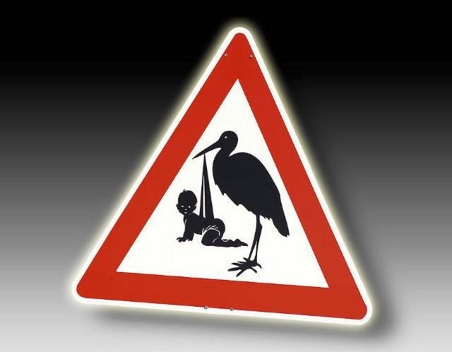 Anne ben nasıl doğdum? Leylekler getirdi...