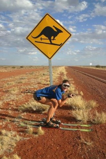 Avustralya, kangurulara dikkat çeken bir levha! Kayak için bir yol işareti...