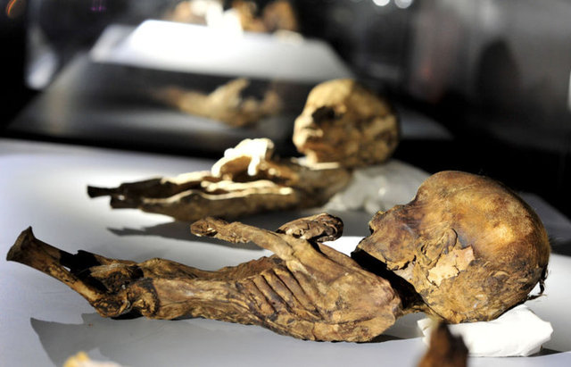 Müzedeki 5. salonun mumya salonu olarak düzenlendiğini vurgulayan Demir, "Mumya salonu için yeni teşhir düzeninde vitrin içi iklimlendirme yaparak, doğal nem ortamında sergileme gerçekleştirdik" diye konuştu.